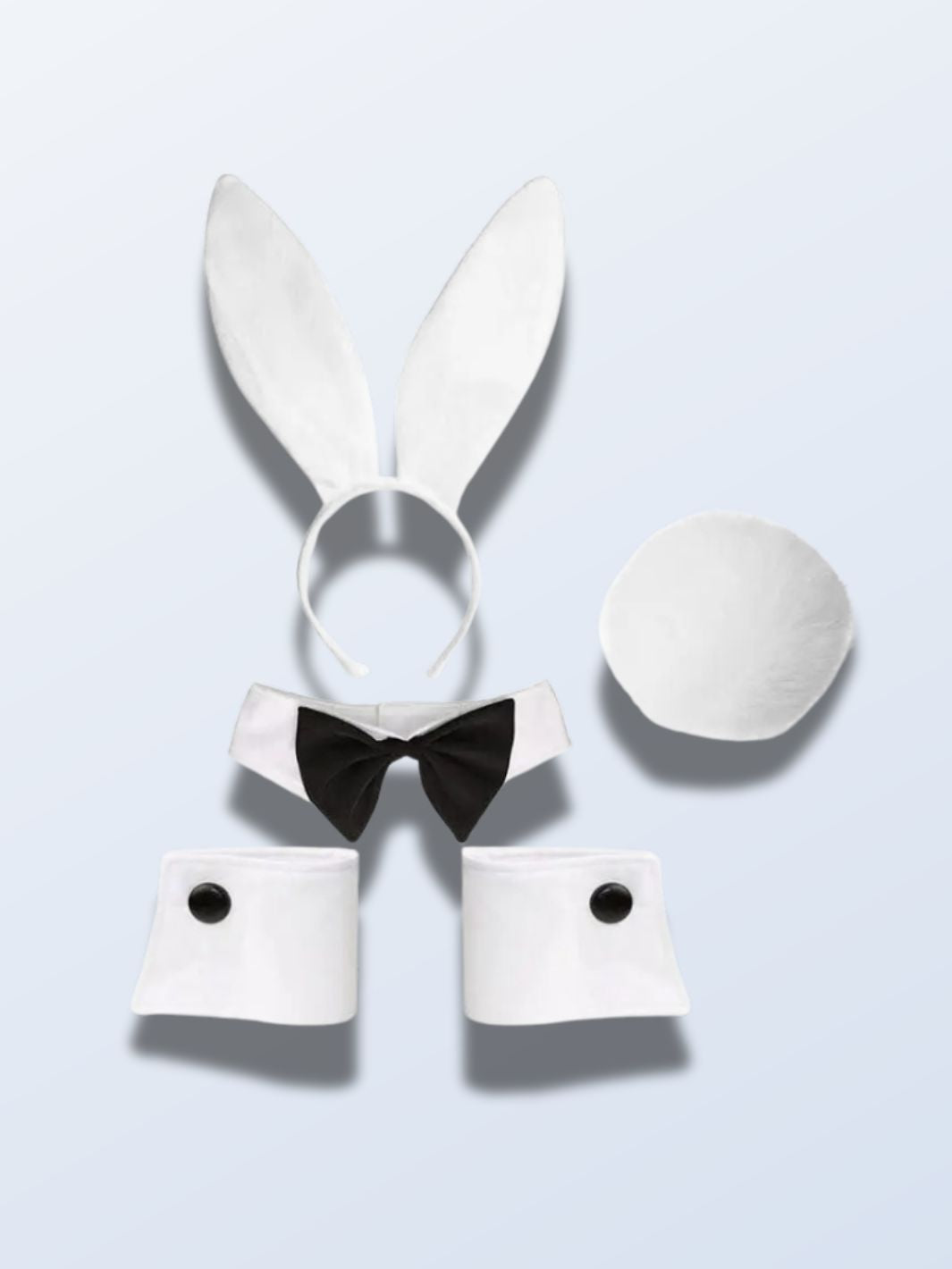 Accessoire de lapin Blanc